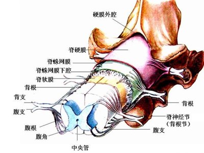 200924645343.jpg