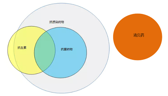 kangjunxiaoyan.jpg