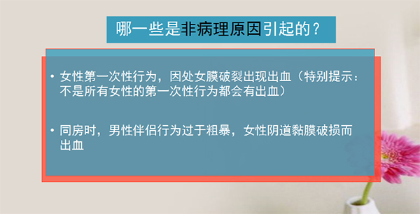图片3 副本.jpg