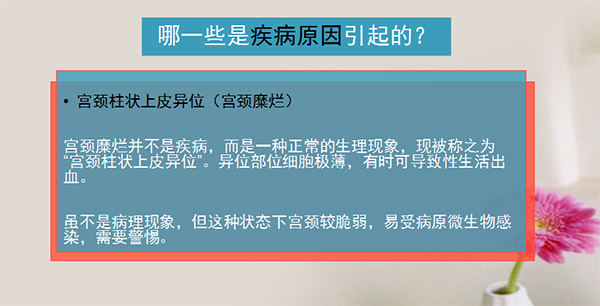 图片7 副本.jpg