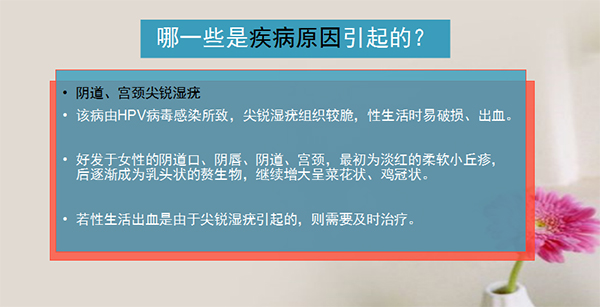 图片9 副本.jpg