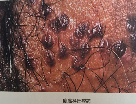 图片2.jpg