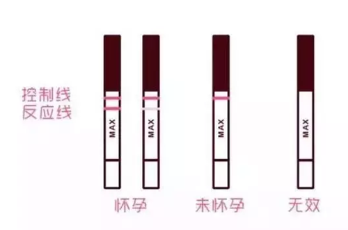 3.png 3.png