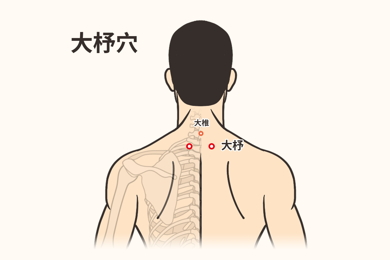 大杼的准确位置图作用图片