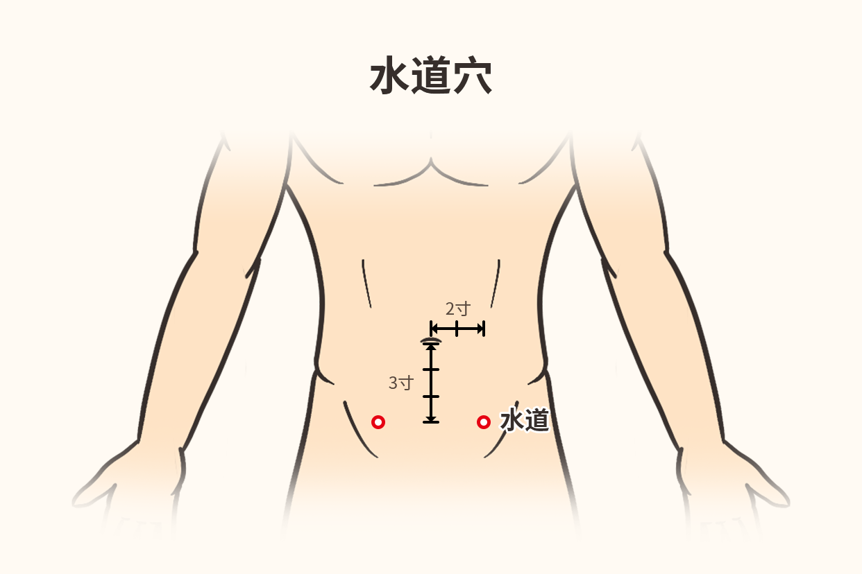 水道准确位置图和作用及功效