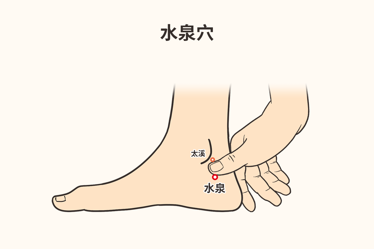 水泉一般是指水泉穴,其位置在足跟內側區域,內踝後方較低處,當太溪直