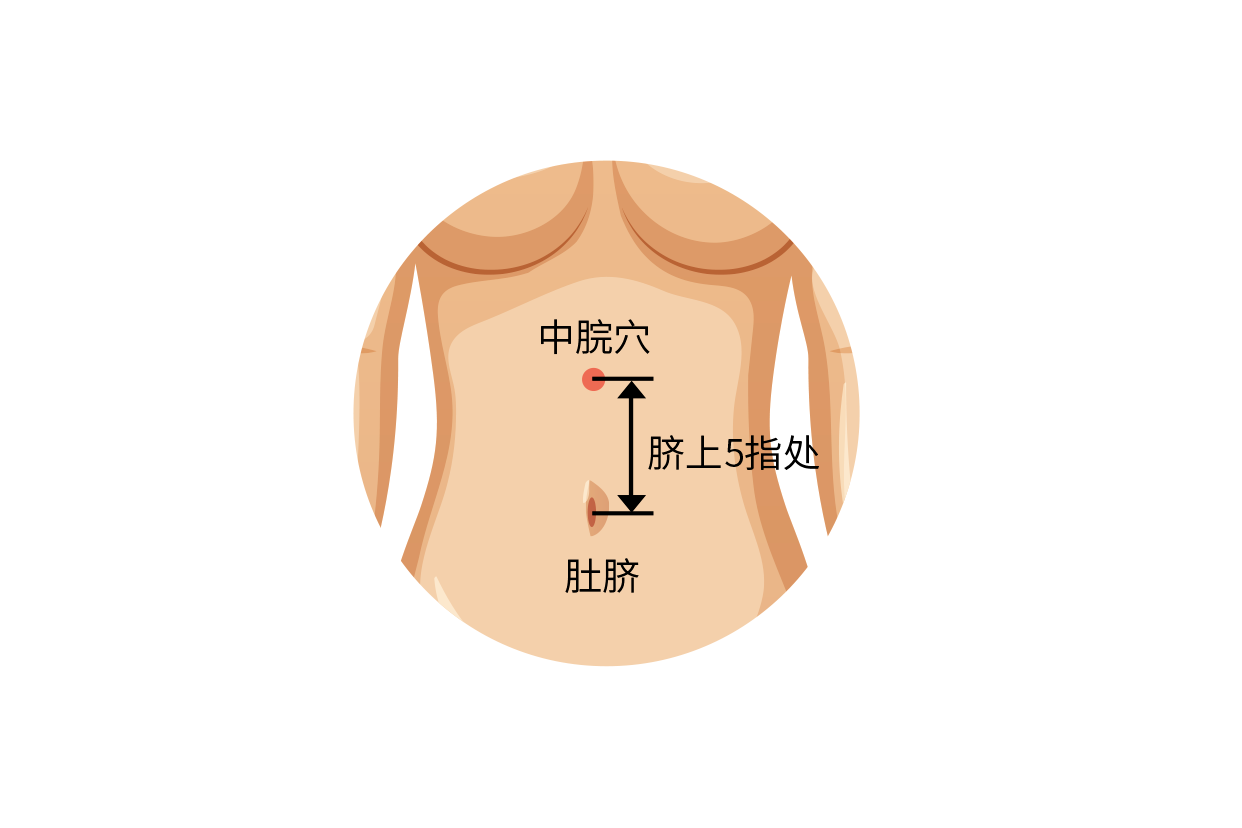 胃脘部在什么位置图片