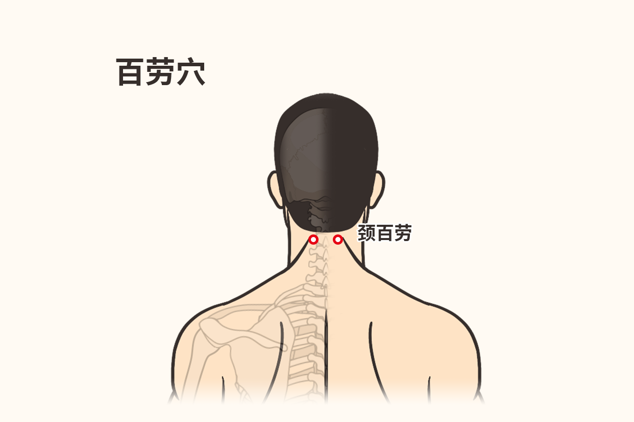 颈百劳的准确位置图图片