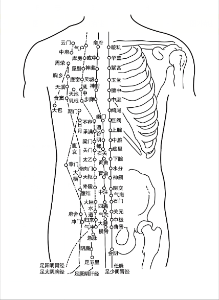 人体后背的经络主要有督脉和足太阳膀胱经的分布,督脉分布于后正中线