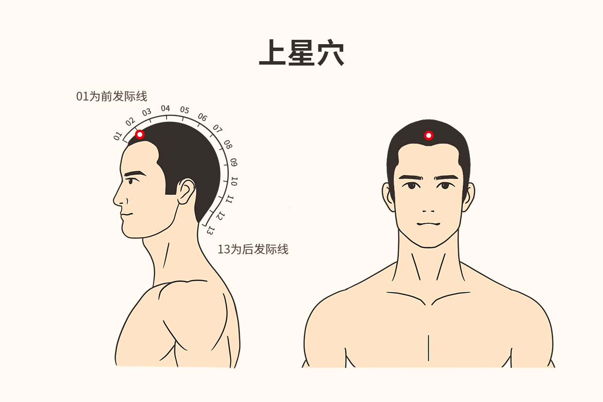 五指毛桃的功效是什么？ - 知乎