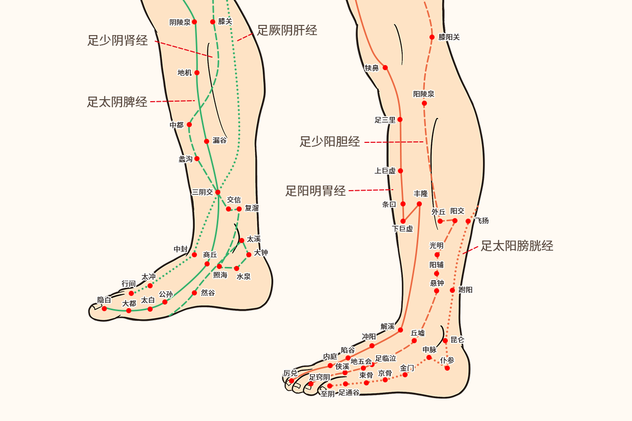 人脚经络图