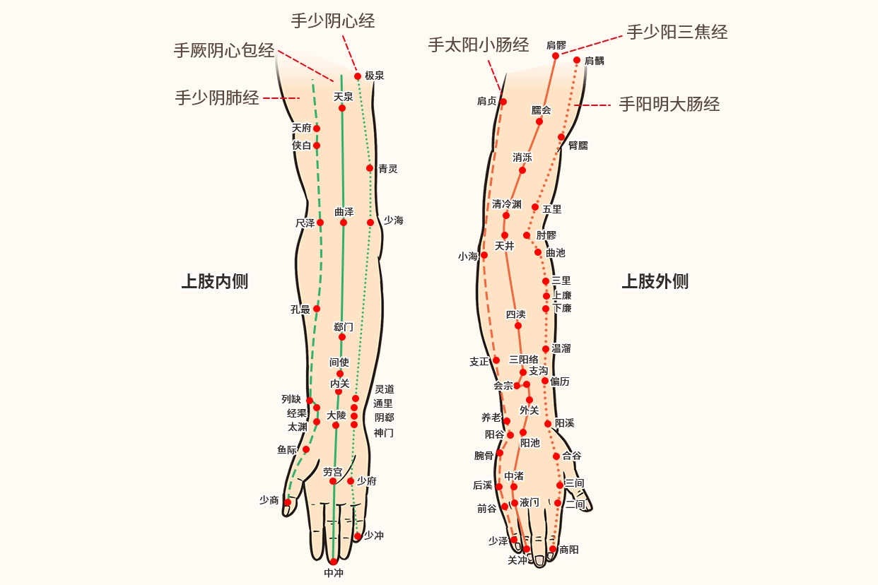 經過手腕的經絡為手三陰經和手三陽經.