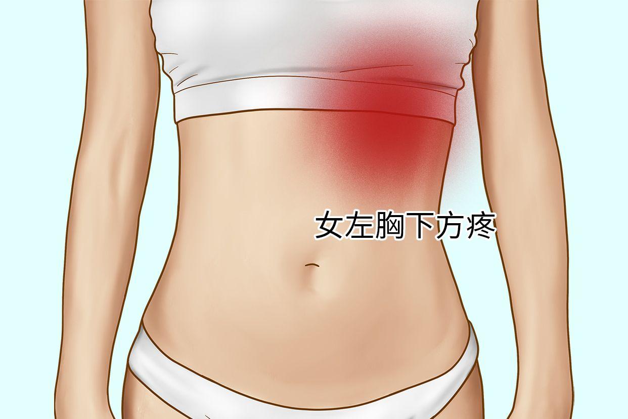 女左胸下方疼位置图片