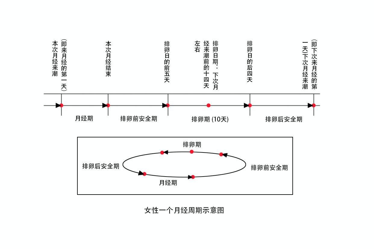 月经周期三十天安全期图表