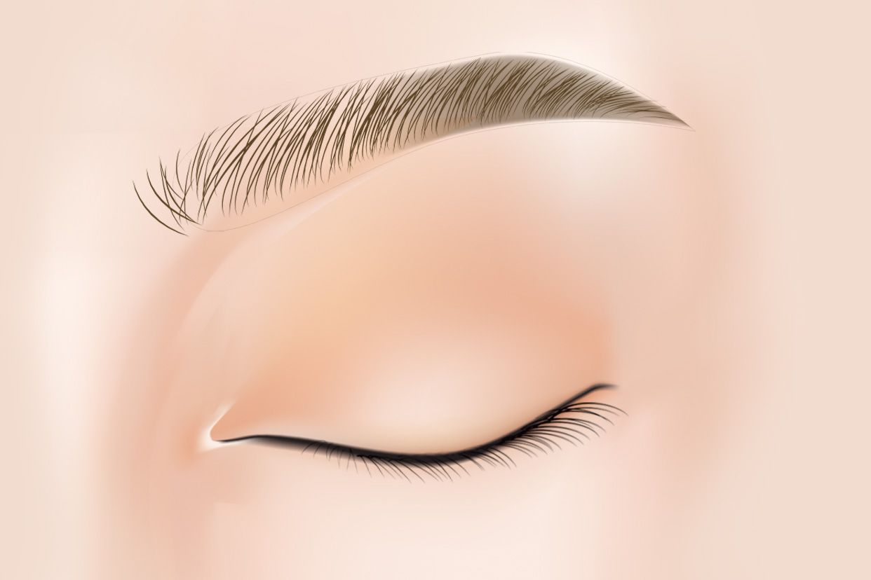 きれいな眉毛は健康の証！？ | Sarah.（サラ）特許技術の化粧品・オーガニックを超える安心