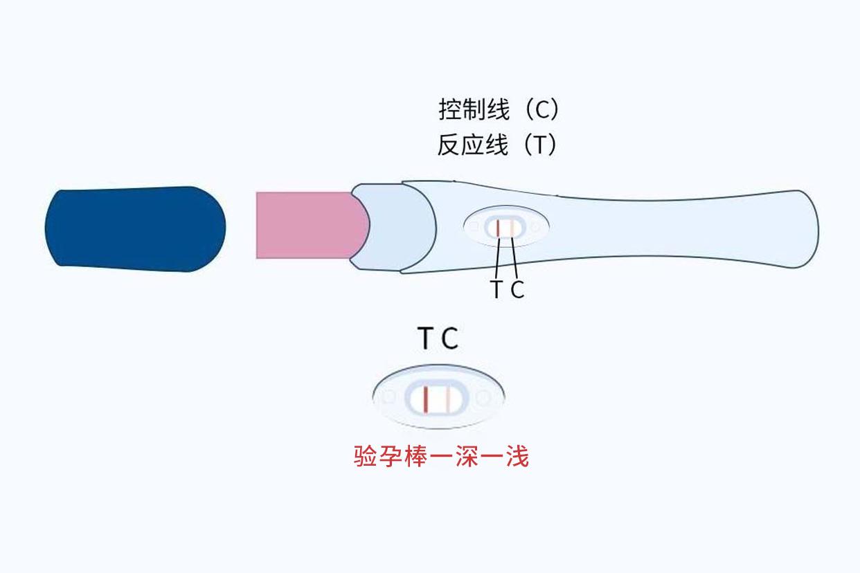 验孕棒过了一段时间才显示一浅一深图片