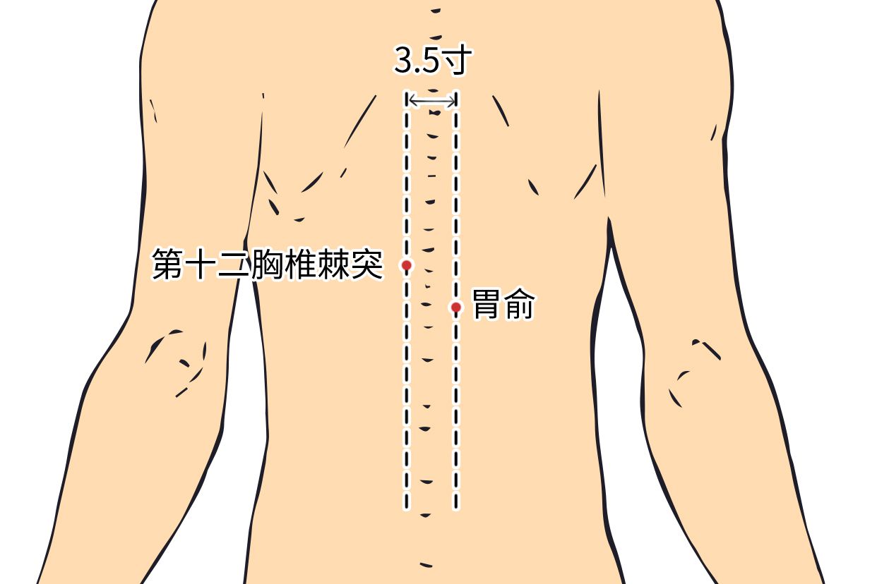 胃俞准确位置图 图图片