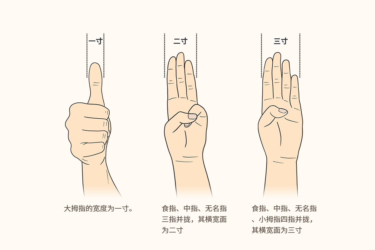 手上的学位指寸图解图片