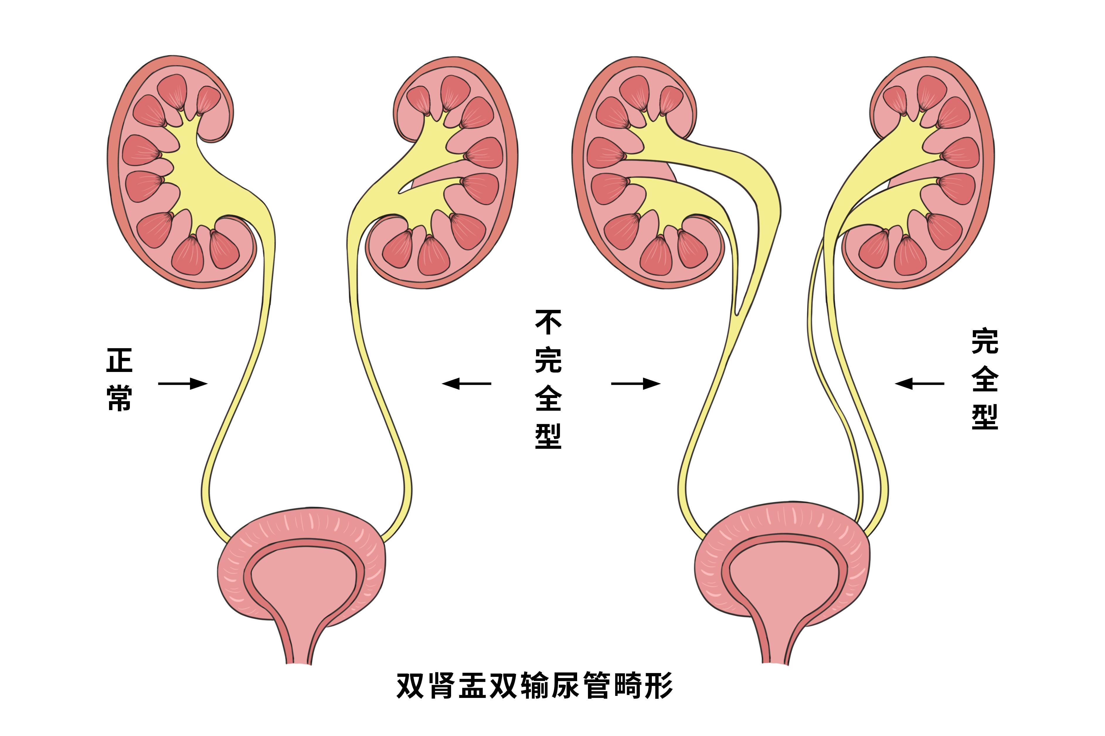 ˫˫ܻͼƬ