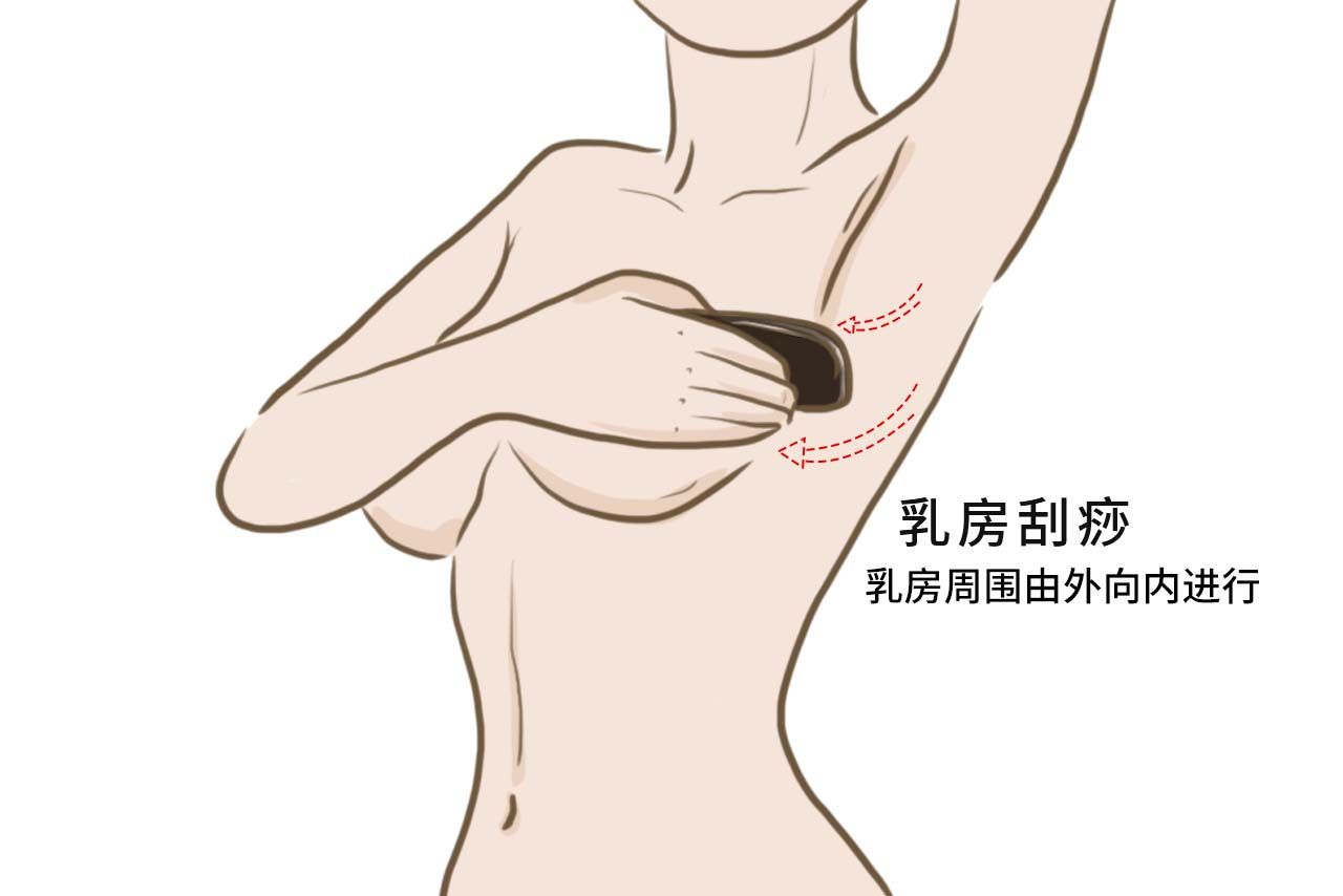 乳房刮痧图