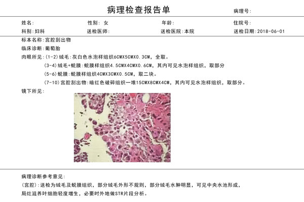 病理组织学检查图片