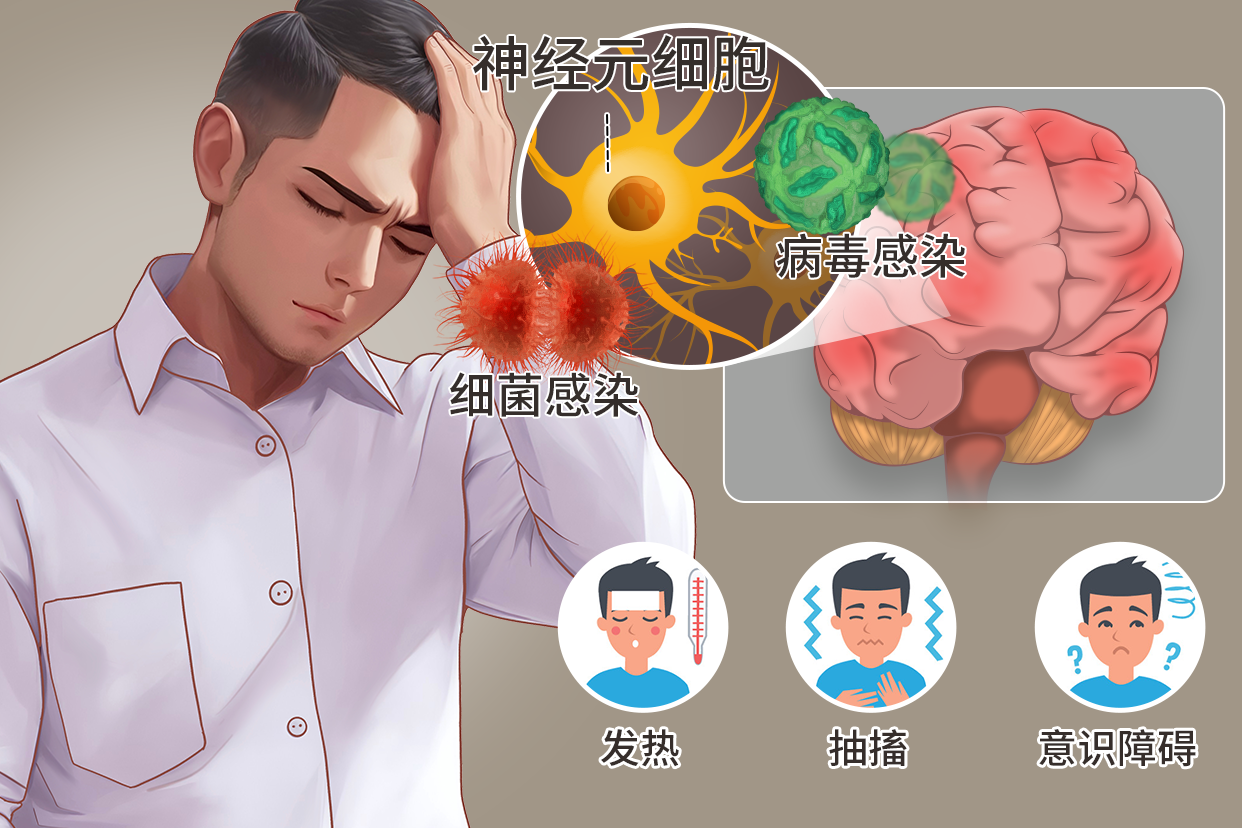 脑炎图片