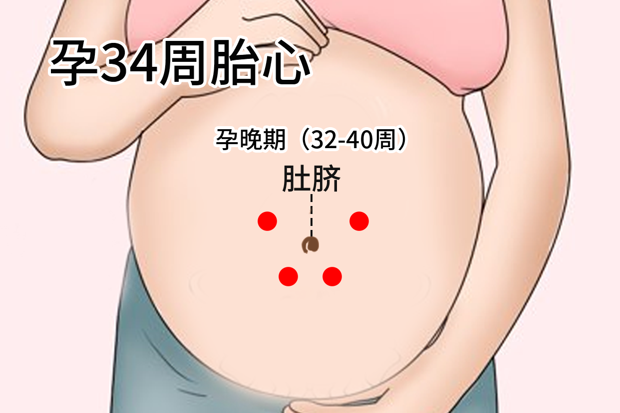 34周胎心位置图片