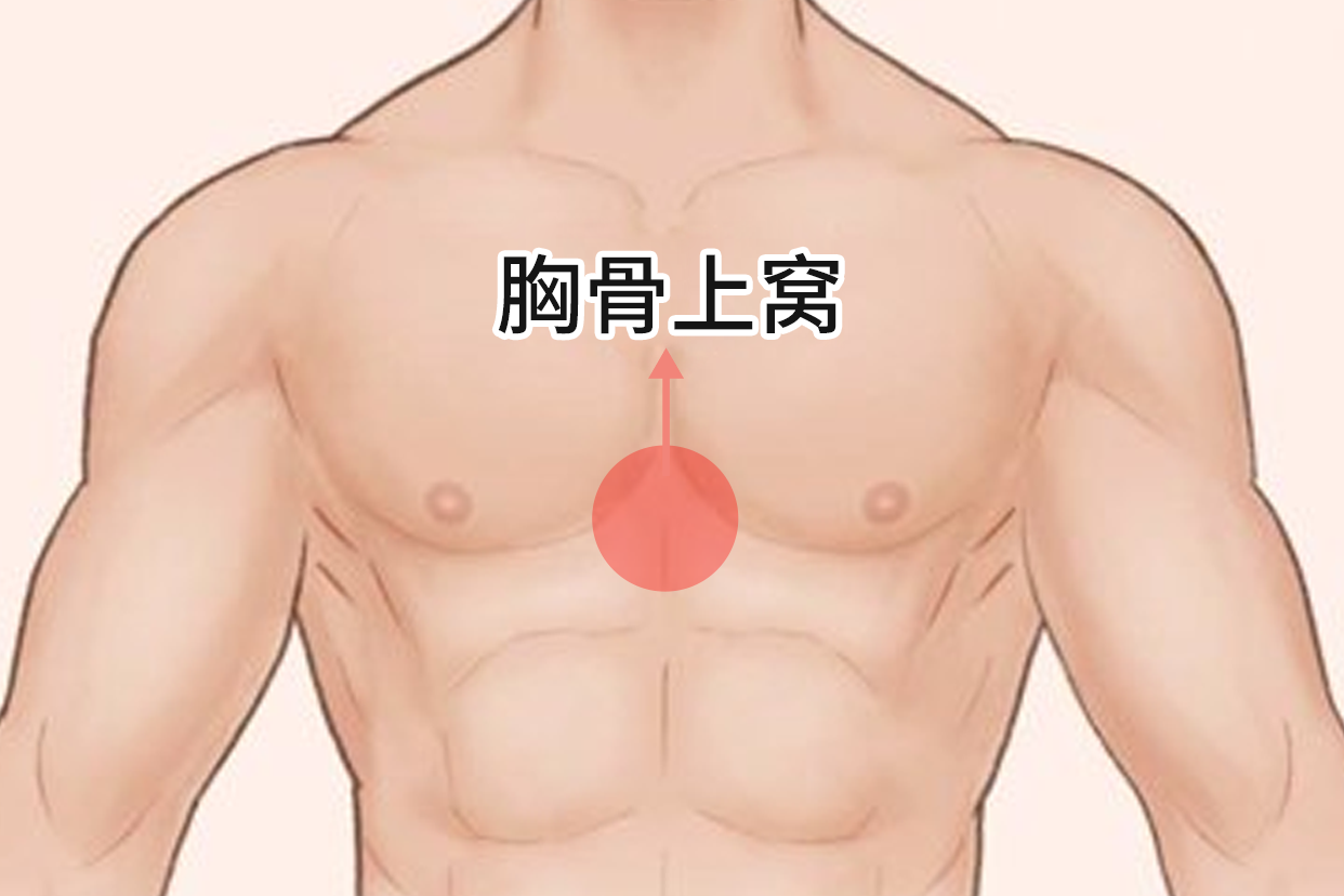 胸骨上窝的位置图片