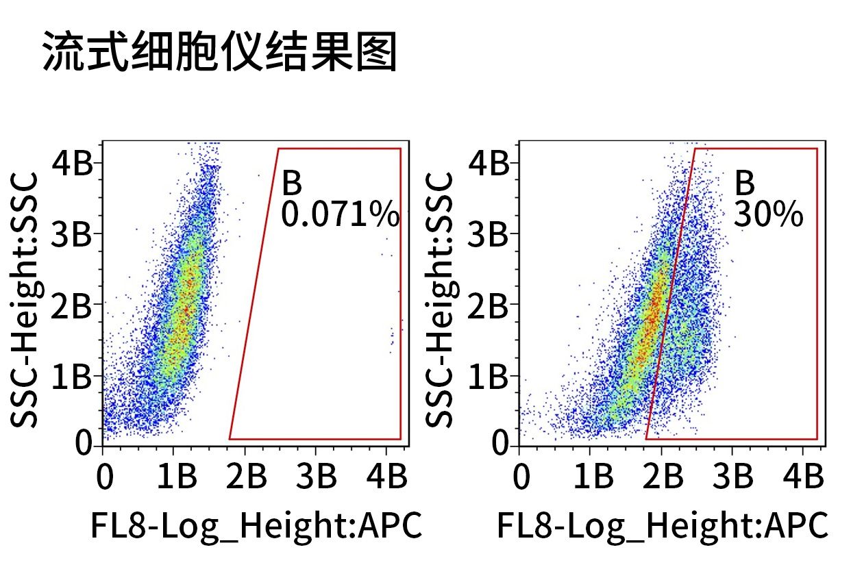 流式细胞仪结果图