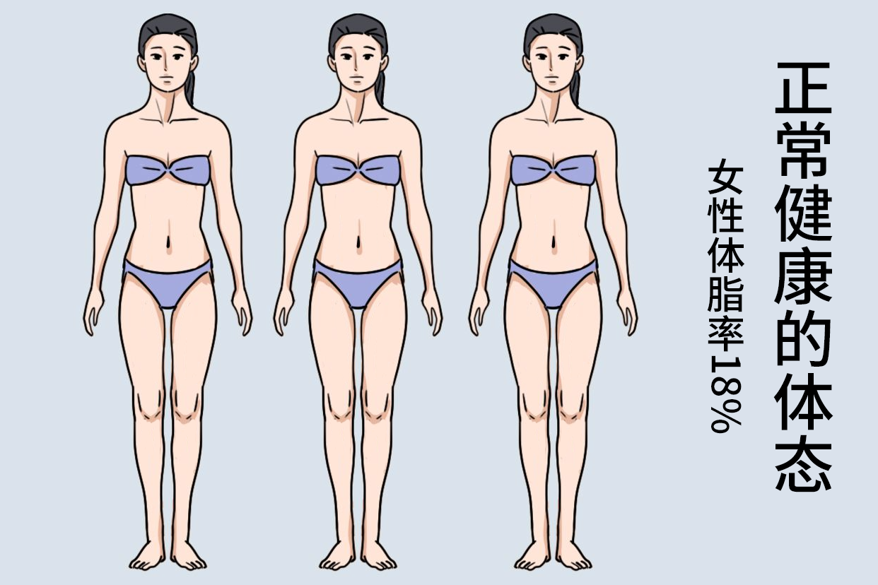 女性体脂率18%的样子图